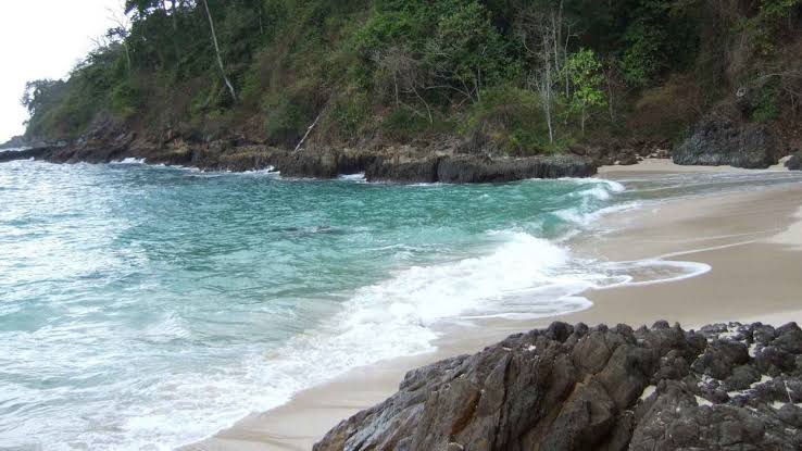 Sukamade Turtle Tour