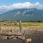 Taman Nasional Baluran: Lokasi dan Pesona Alam yang Memukau