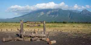 Taman Nasional Baluran: Lokasi dan Pesona Alam yang Memukau