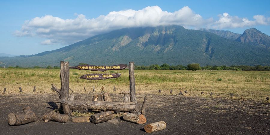 Taman Nasional Baluran